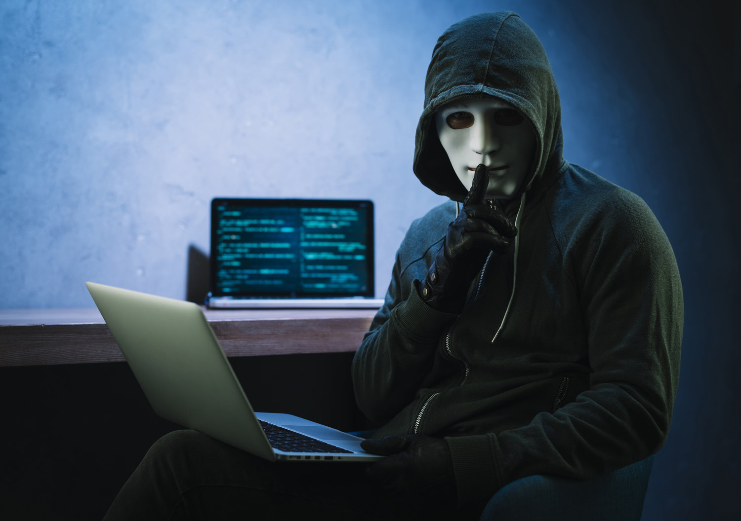 ciberdelitos. Phishing