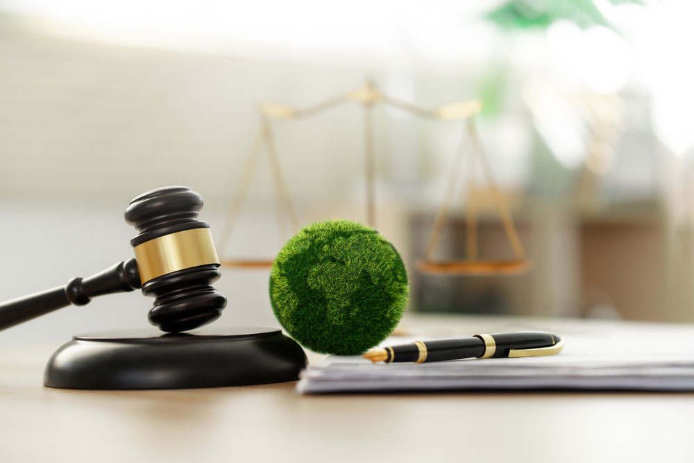 Derecho empresarial y sostenibilidad: